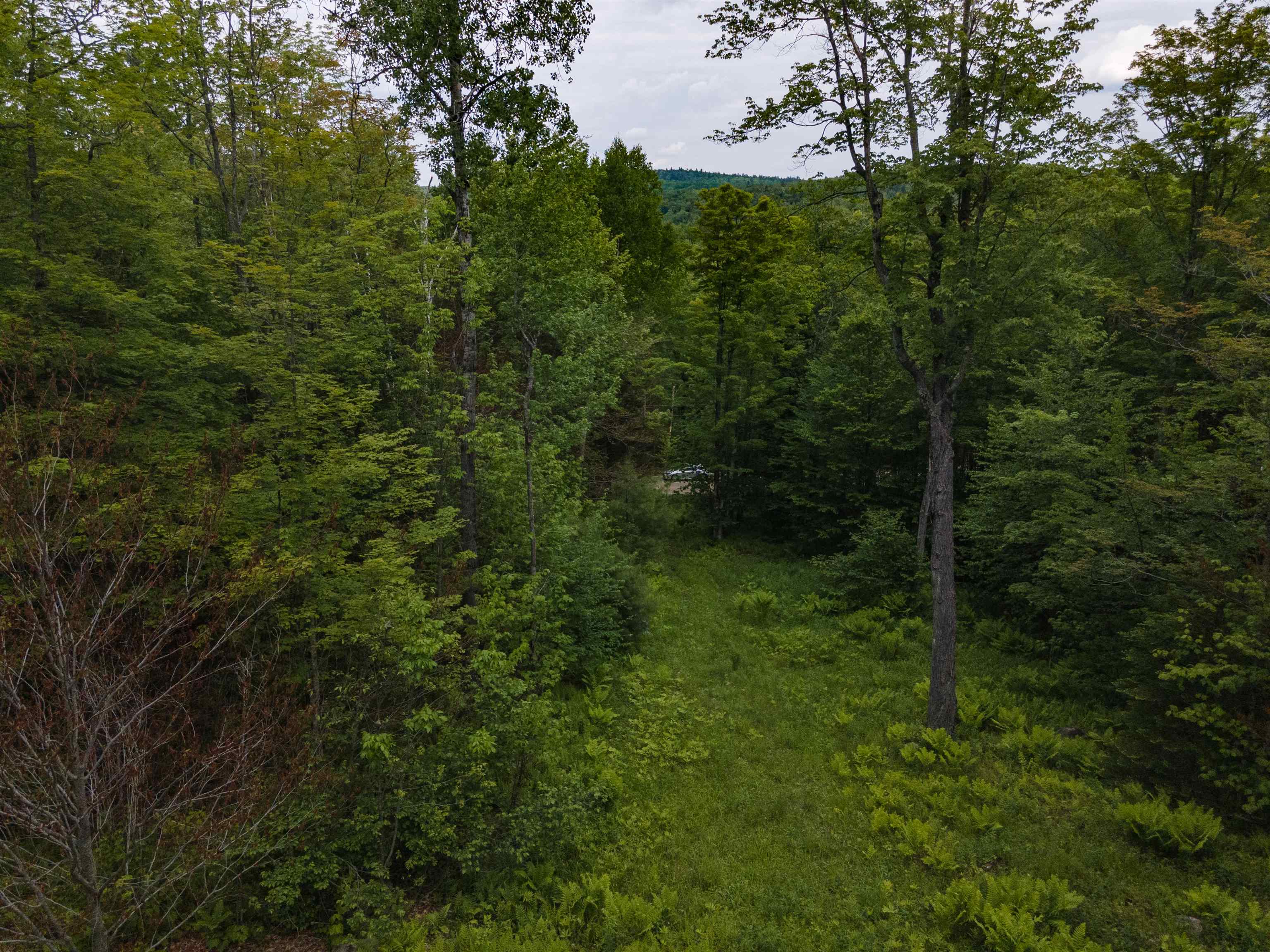 0 Miller Pond Road Grantham, NH 03753 - Photo 7 of 10