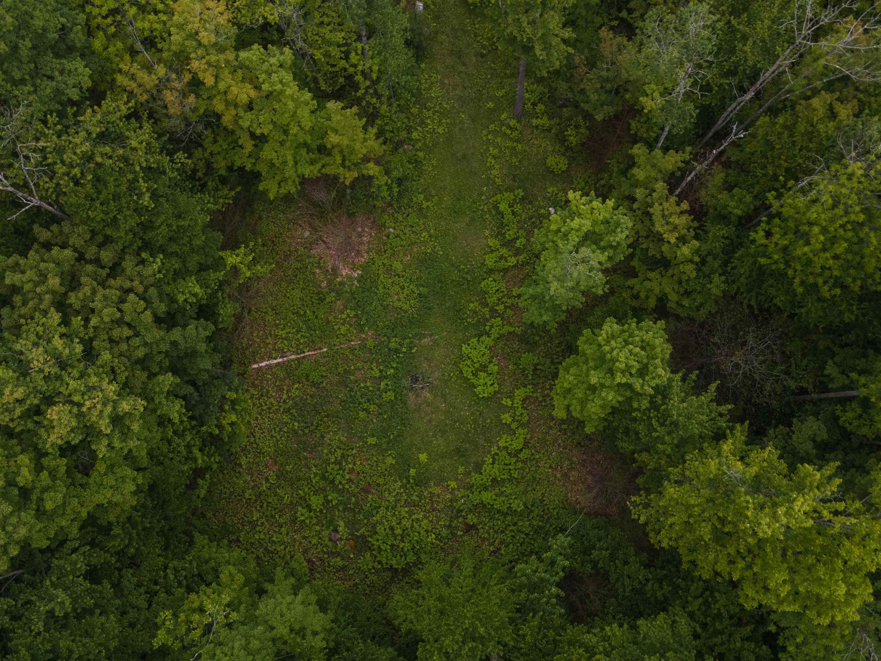 0 Miller Pond Road Grantham, NH 03753 - Photo 8 of 10