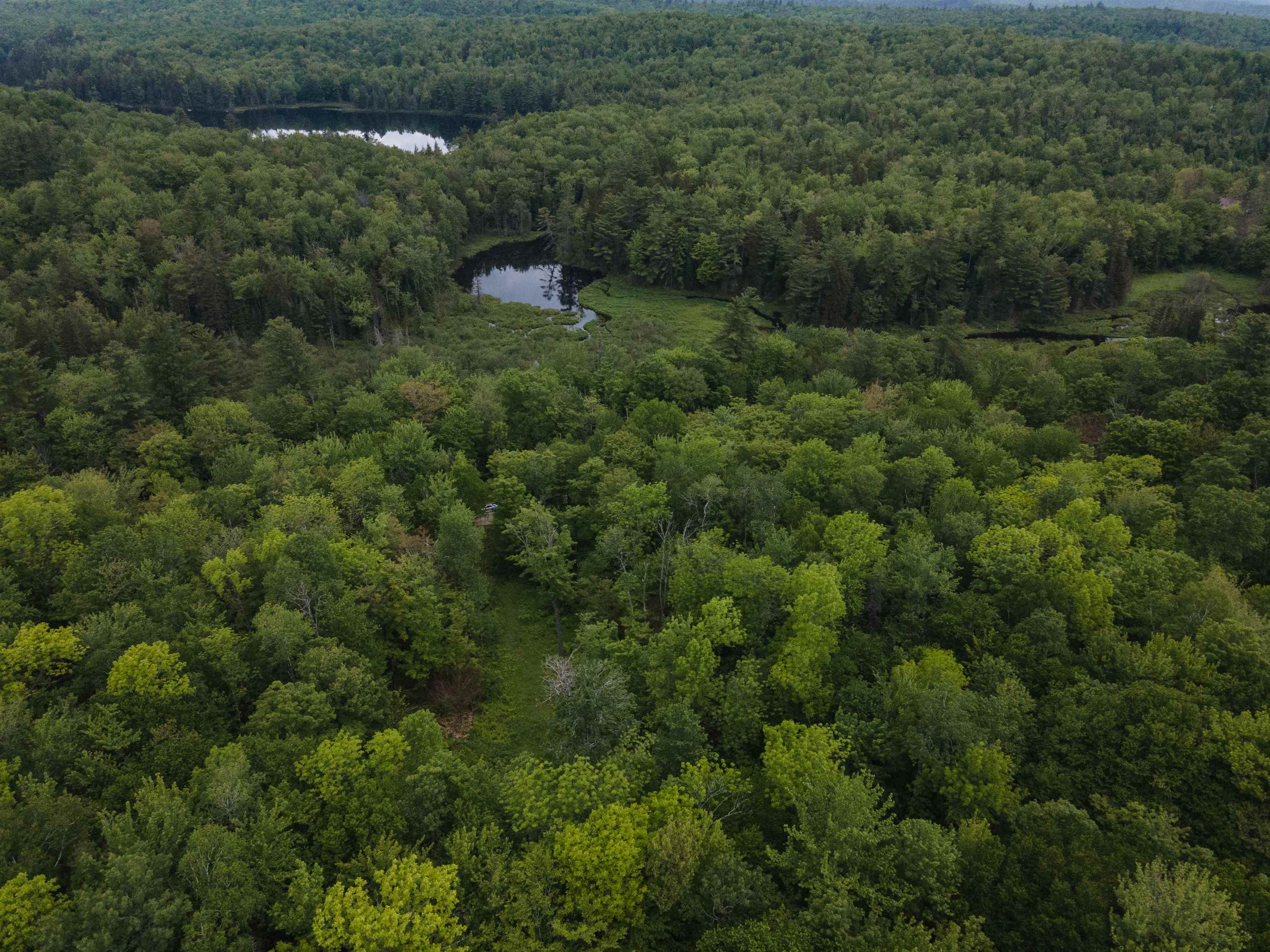 0 Miller Pond Road Grantham, NH 03753 - Photo 9 of 10