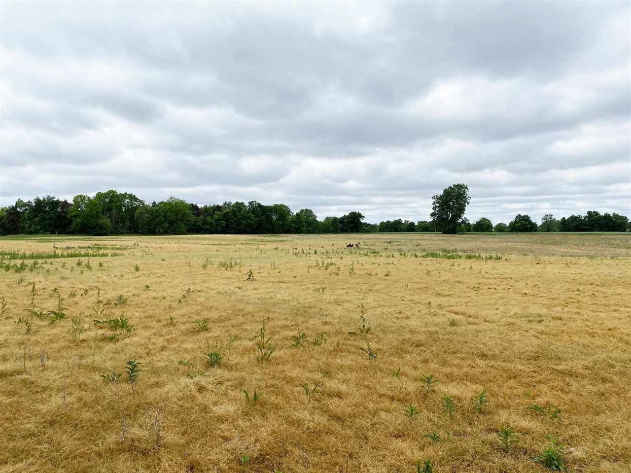 V/l West Hibbard Road Owosso, MI 48867 - Photo 5 of 5