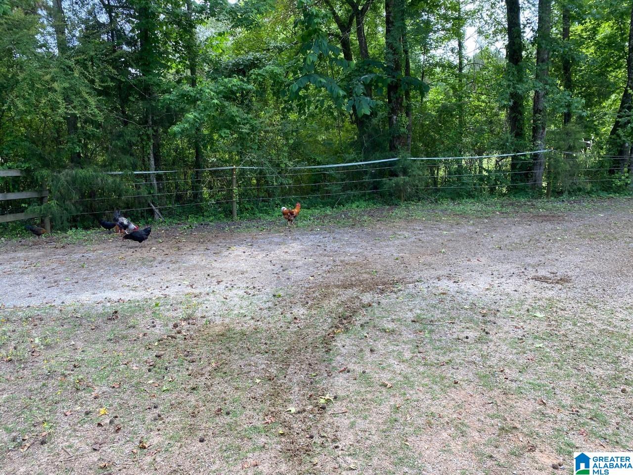 448 County Road 2 Montevallo, AL 35115 - Photo 4 of 6