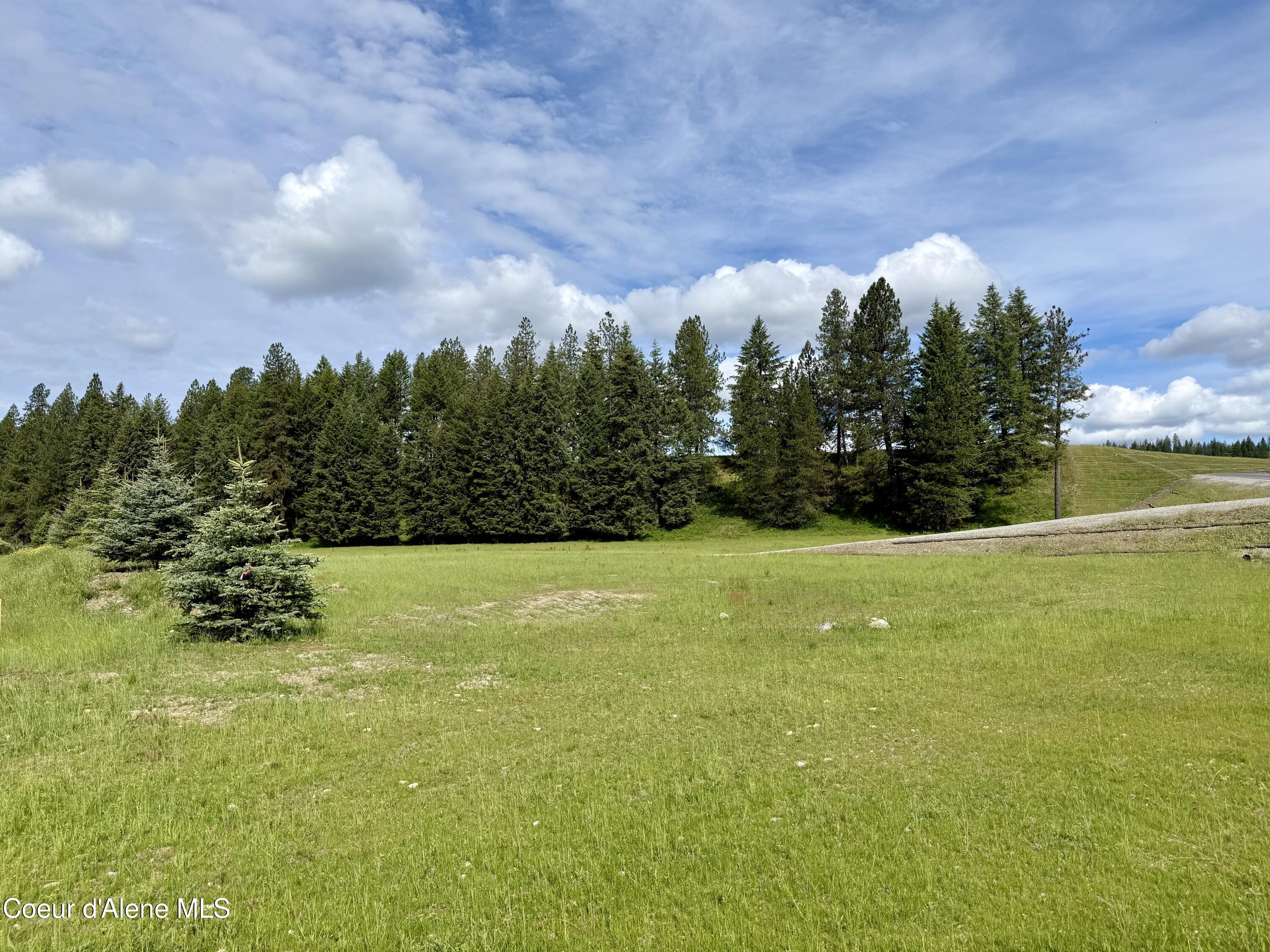 Lot 1 North Stonemason Way Rathdrum, ID 83858 - Photo 2 of 6 5.3 acres to make your own.
