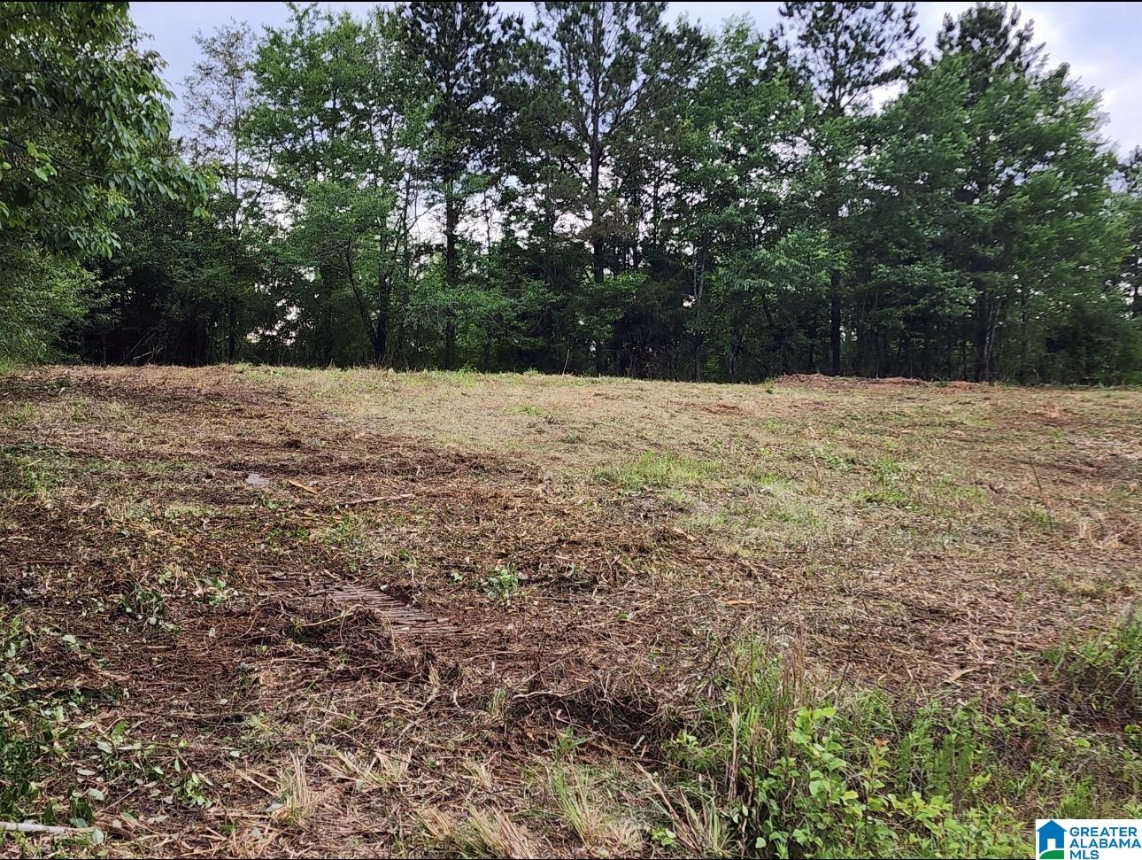 0 Co Highway 13, Unit 2 Cleveland, AL 35049 - Photo 1 of 4