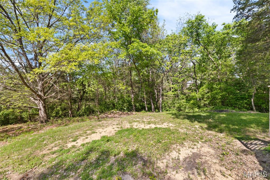 60 My Lane Hillsboro, IL 62049 - Photo 5 of 39