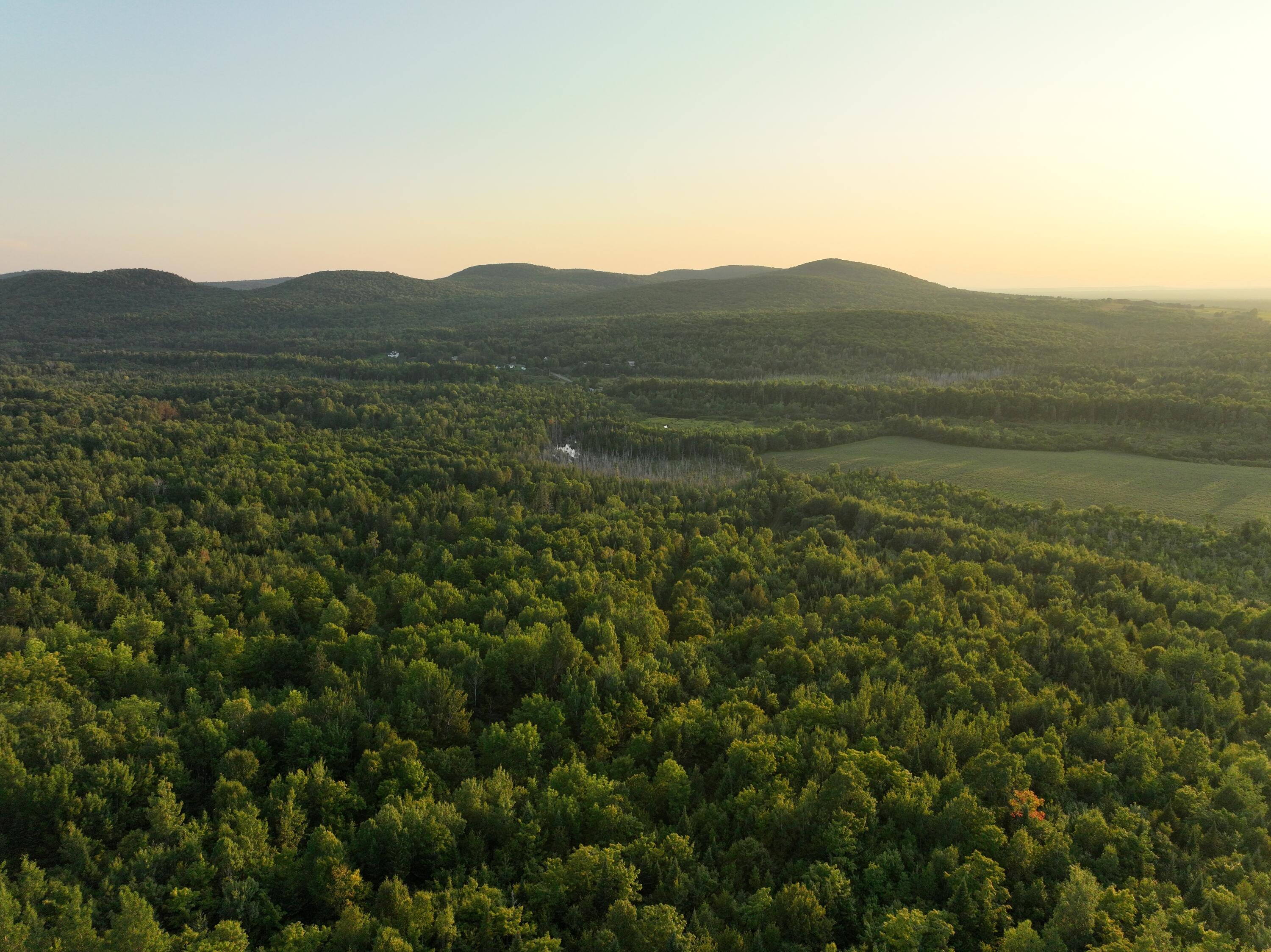 0 Thompson Settlement Road Oakfield, ME 04763 - Photo 3 of 33 DJI_0074