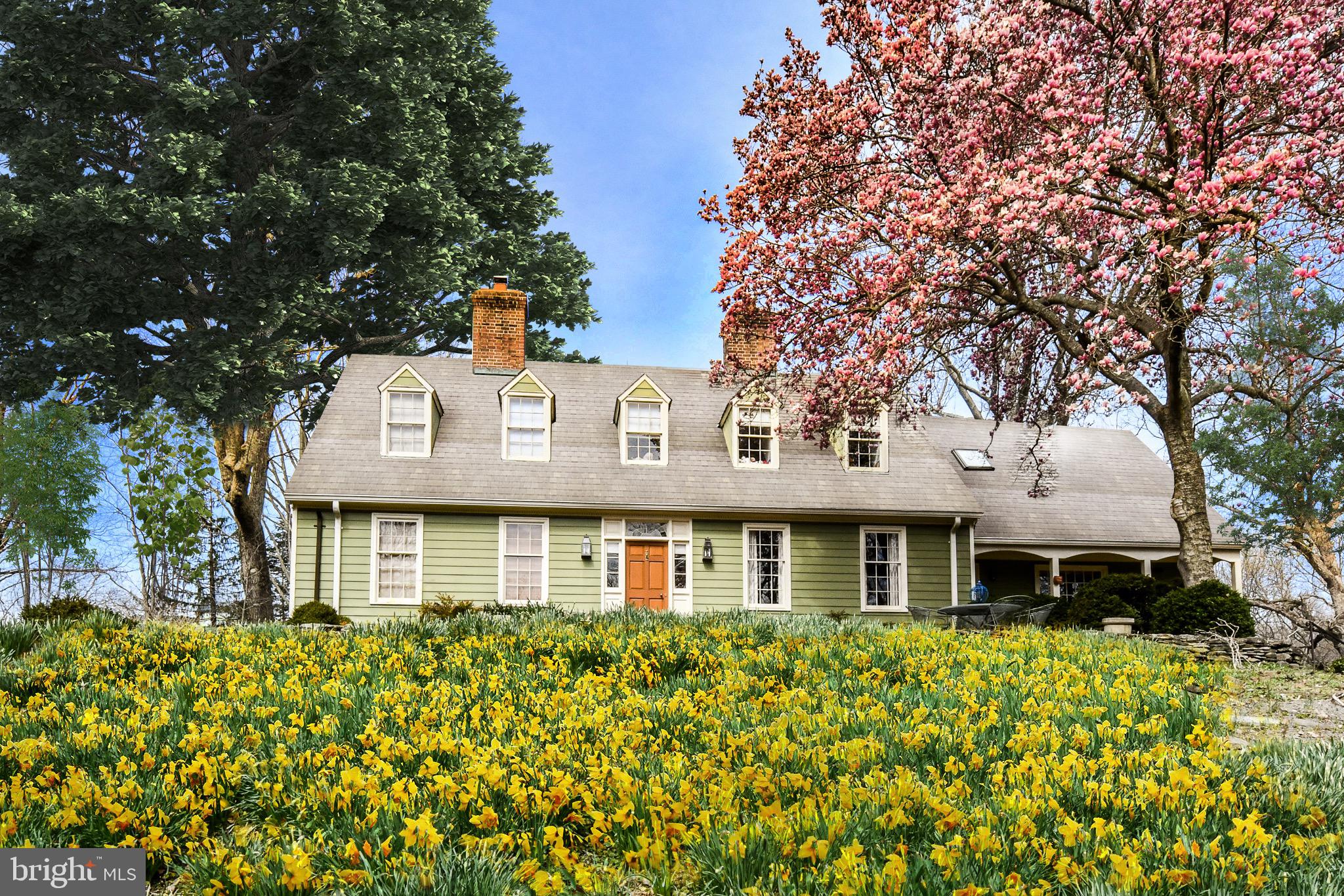 9100 Falls Run Road McLean, VA 22102 - Photo 2 of 50 Gallery Image 2