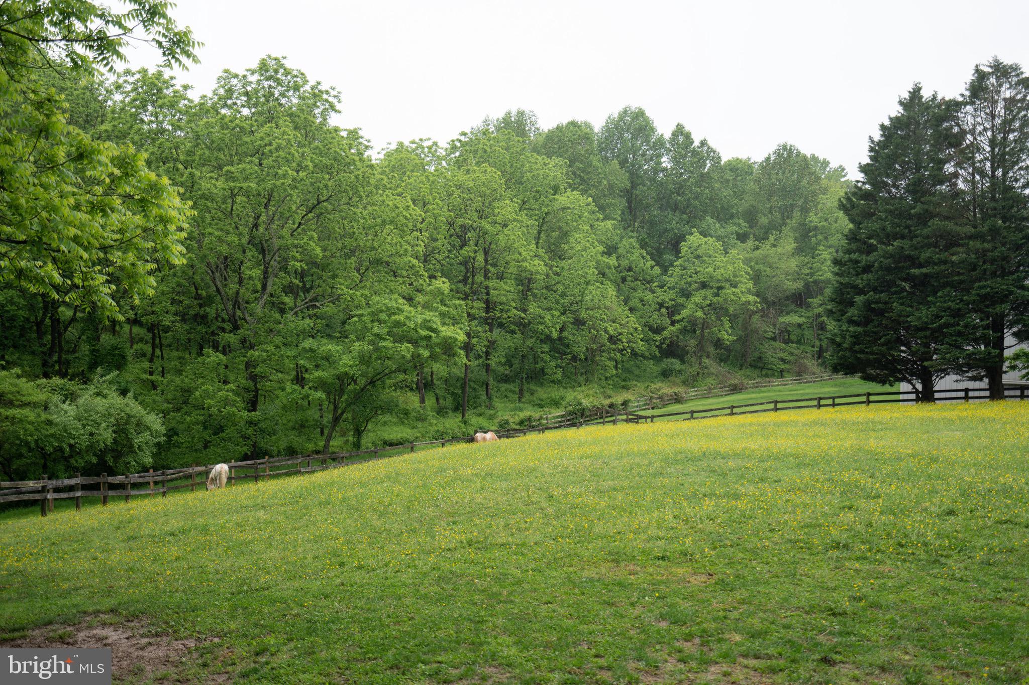 9100 Falls Run Road McLean, VA 22102 - Photo 41 of 50 Gallery Image 41