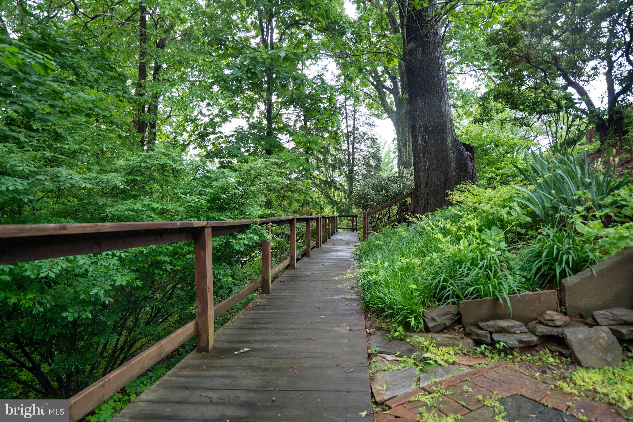 9100 Falls Run Road McLean, VA 22102 - Photo 47 of 50 Gallery Image 47
