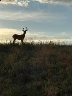 $1,265,000 | 455 Rogers Way, Castle Rock, CO 80104