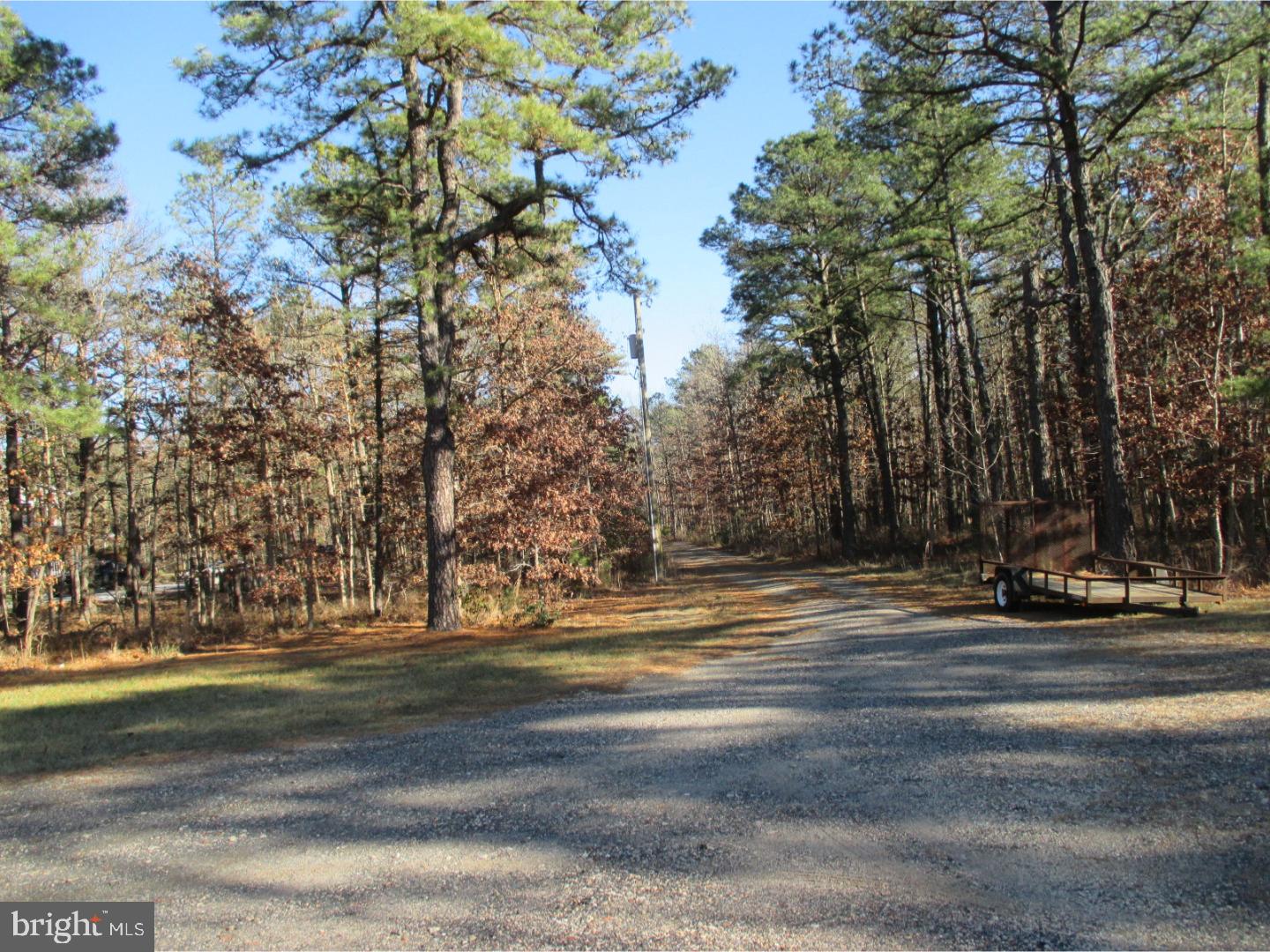 1015 Whitehall Road Williamstown, NJ 08094 - Photo 2 of 18 Driveway