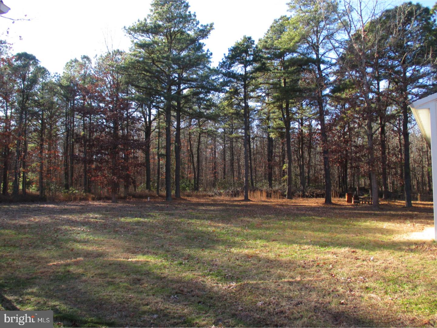 1015 Whitehall Road Williamstown, NJ 08094 - Photo 16 of 18 Back Yard