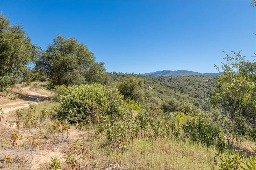 49 Old Yosemite Road Oakhurst, CA 93644 - Photo 28 of 41 Gallery Image 28
