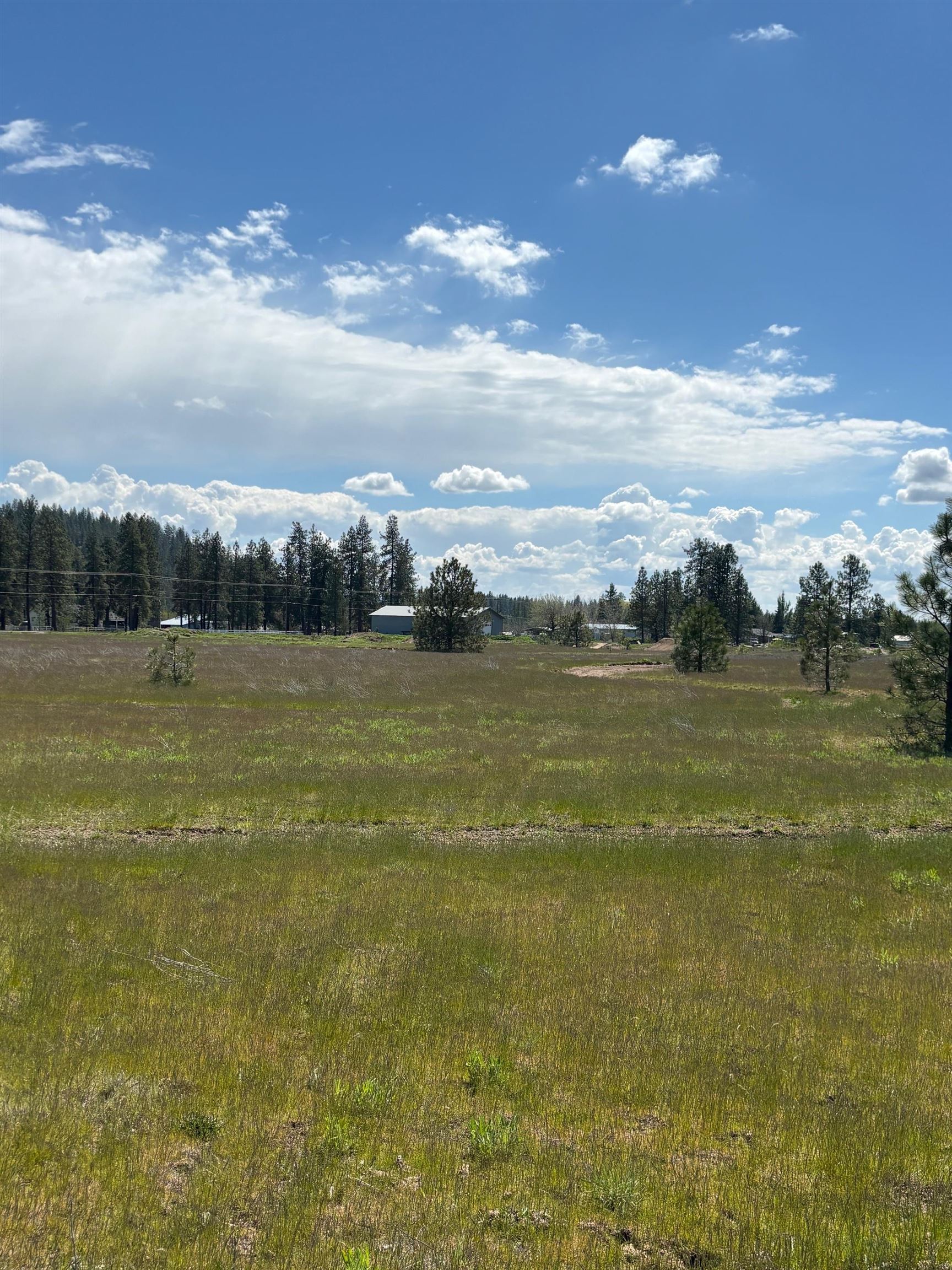 0 North Yale Road Colbert, WA 99005 - Photo 6 of 29