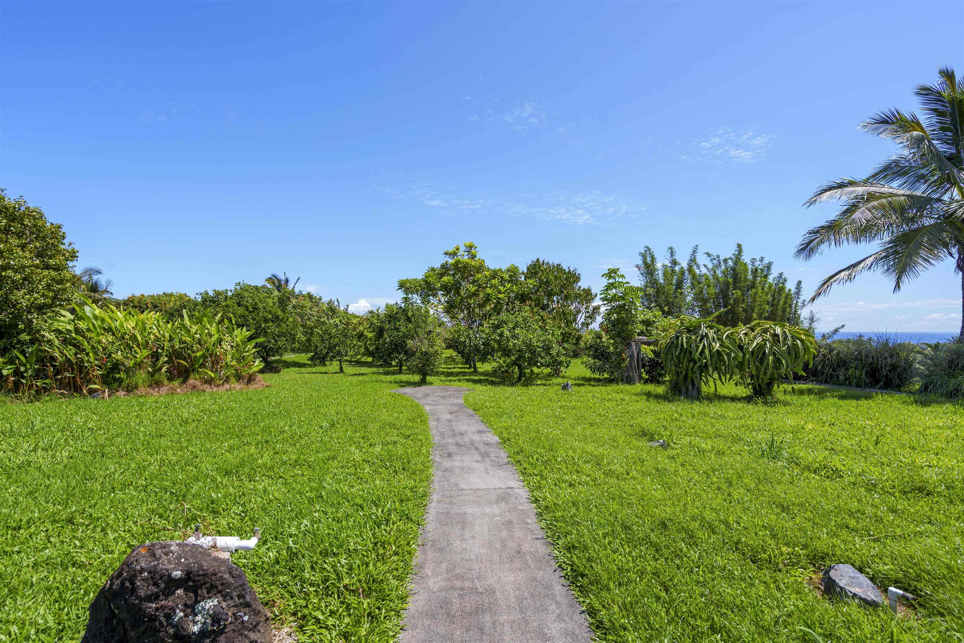 51 West Waipio Road Haiku, HI 96708 - Photo 33 of 50