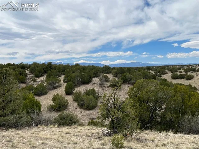 a view of a yard with wooden fence