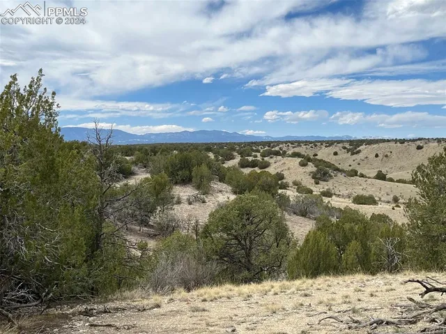 an aerial view of houses covered in trees
