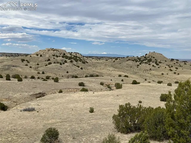 a view of a dry yard