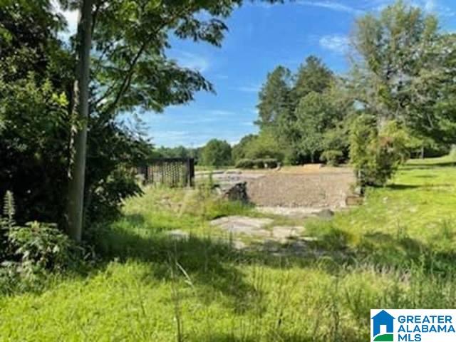 1801 Old Russellville Road Jasper, AL 35503 - Photo 12 of 17