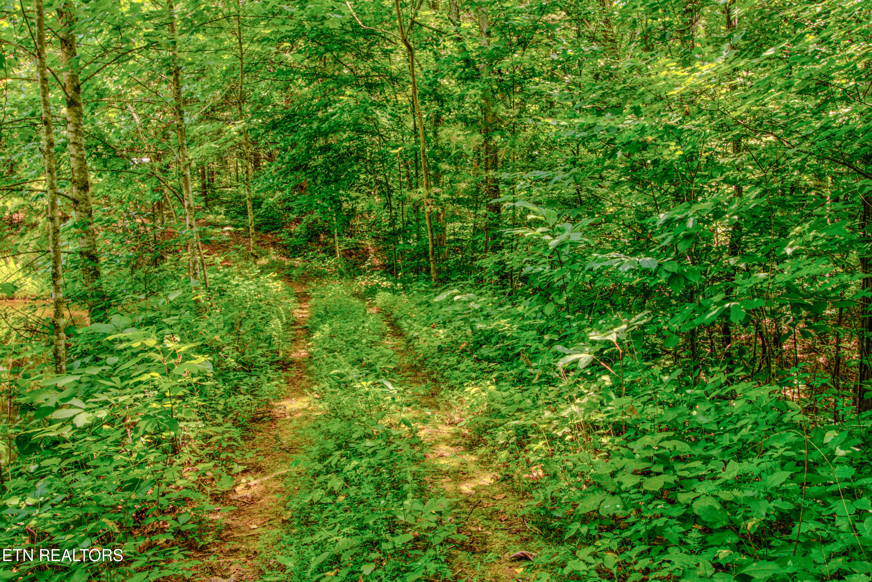 Undisclosed Address Rutledge, TN 37861 - Photo 46 of 59 IMG_3211_2_3_4_5_6_7