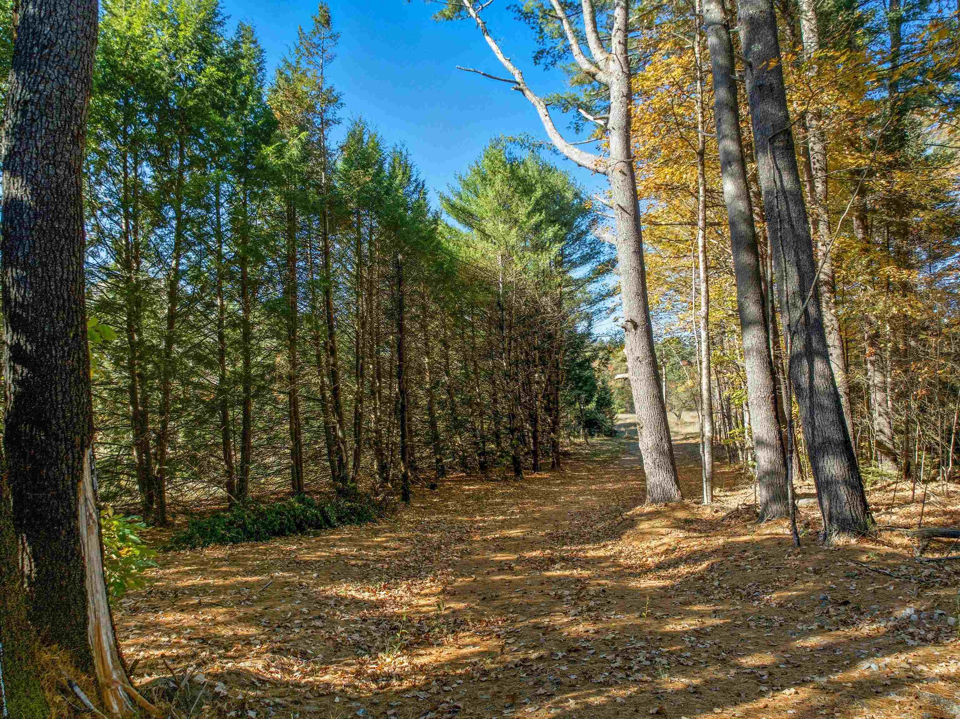 115 Adams Farm Road Thornton, NH 03285 - Photo 2 of 17