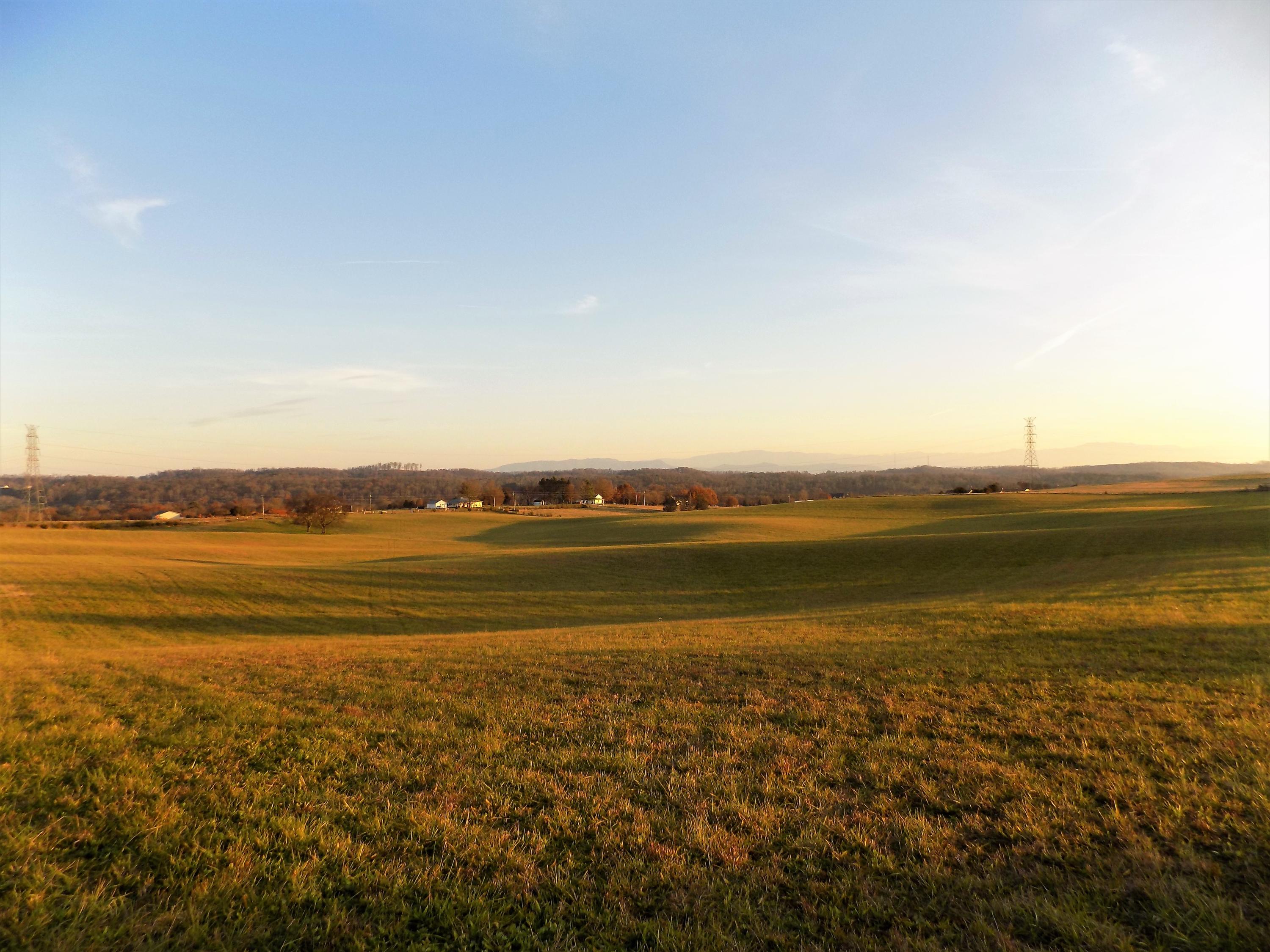 Lot #6 Palace Road Jefferson City, TN 37760 - Photo 12 of 19 Country Setting