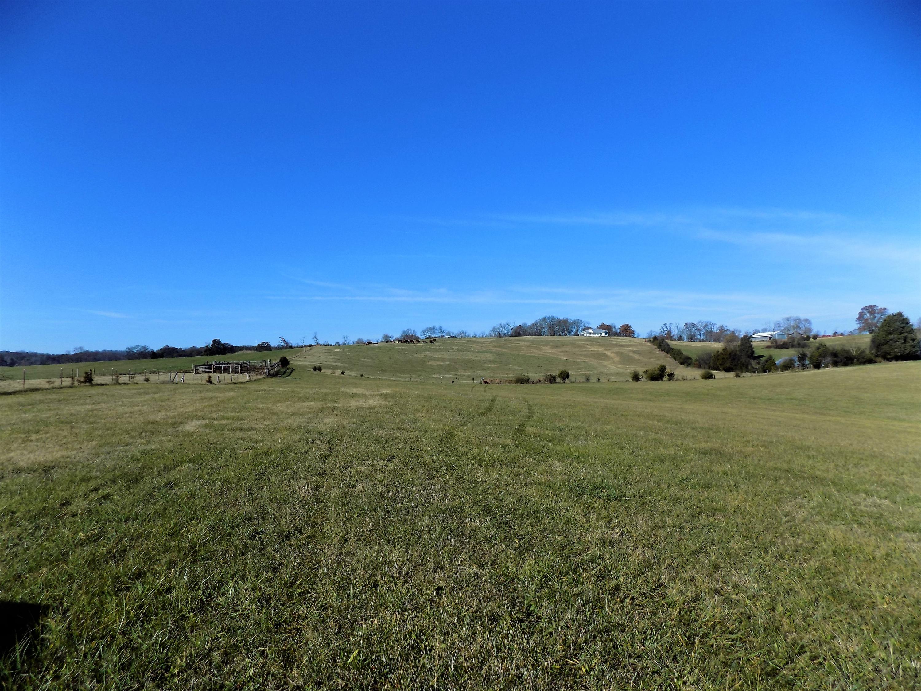 Lot #6 Palace Road Jefferson City, TN 37760 - Photo 10 of 19 Country Setting