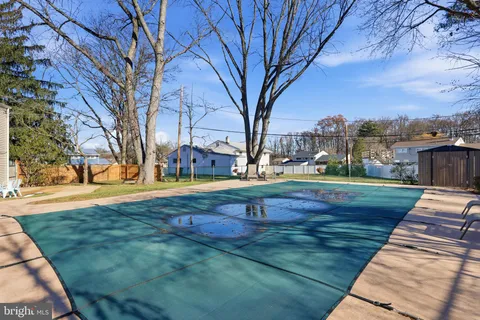 a park view with large trees