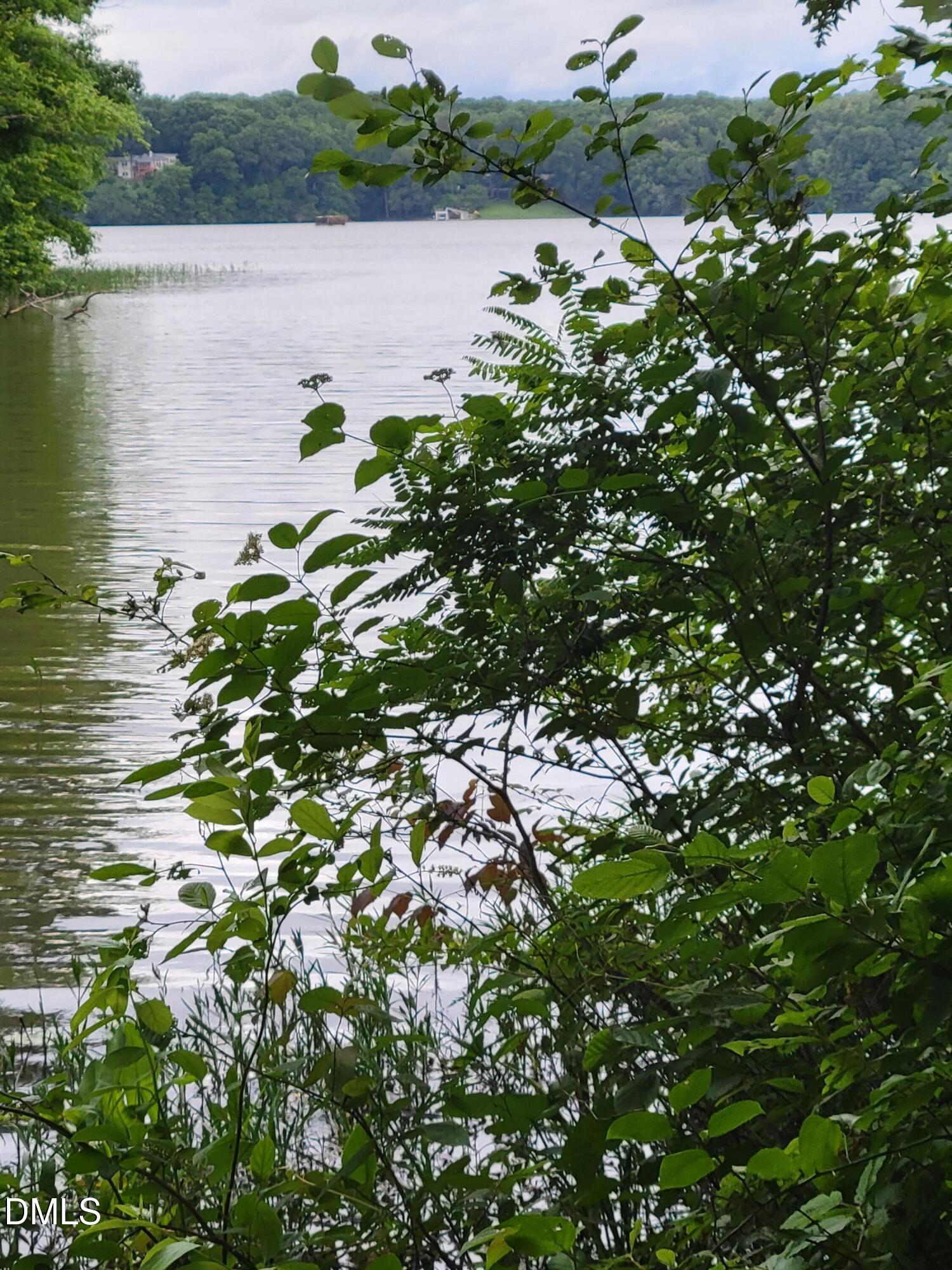 Lot 23 Sail View Lane Macon, NC 27551 - Photo 2 of 7 a view of a lake with a tree