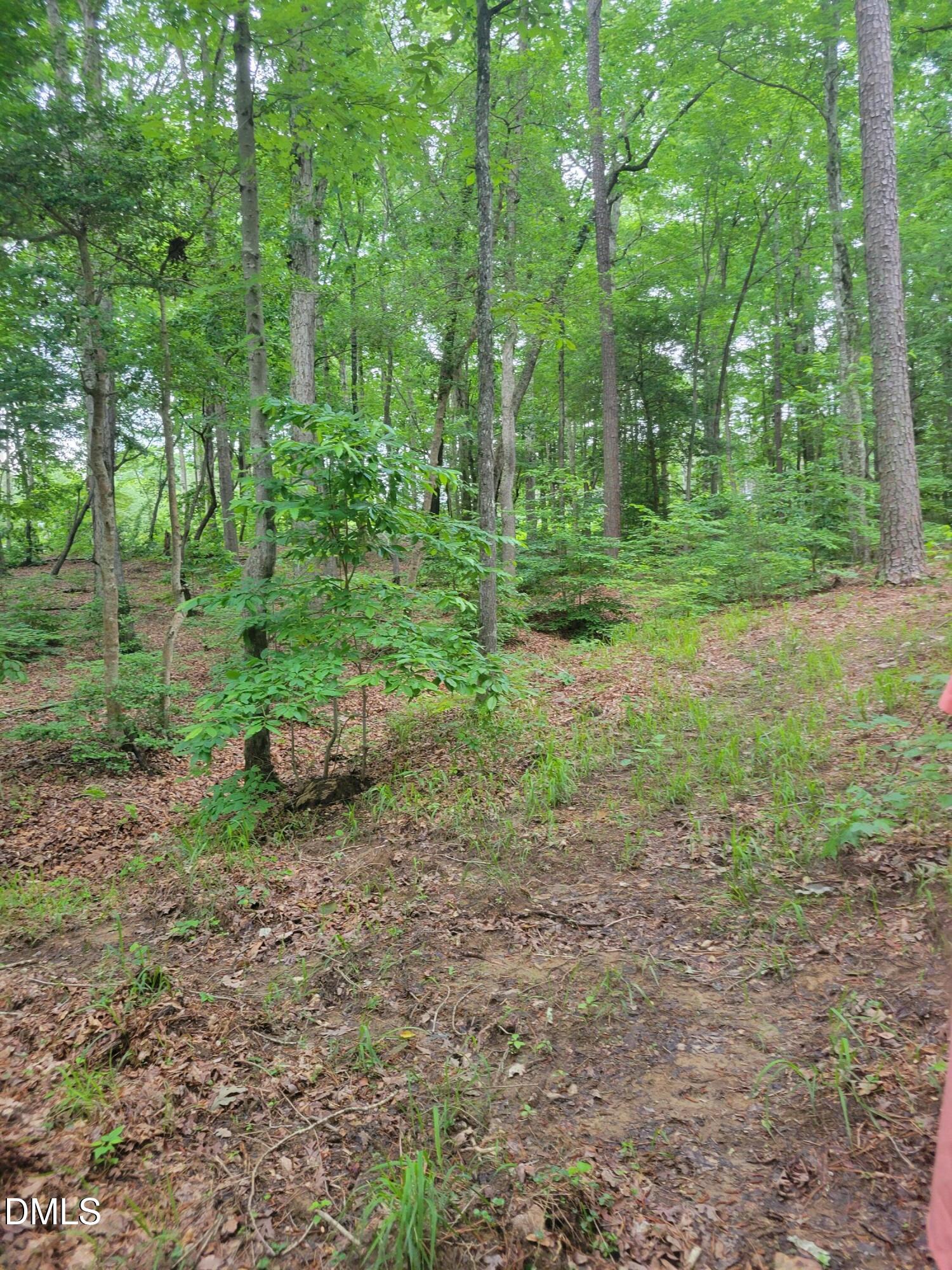 Lot 23 Sail View Lane Macon, NC 27551 - Photo 4 of 7 a view of a forest with trees in the background