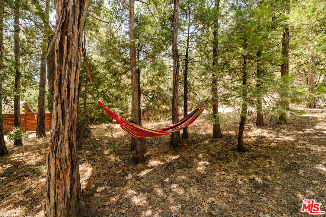 26955 Meadow Glen Drive Idyllwild, CA 92549 - Photo 40 of 57 a view of an outdoor space with a tree