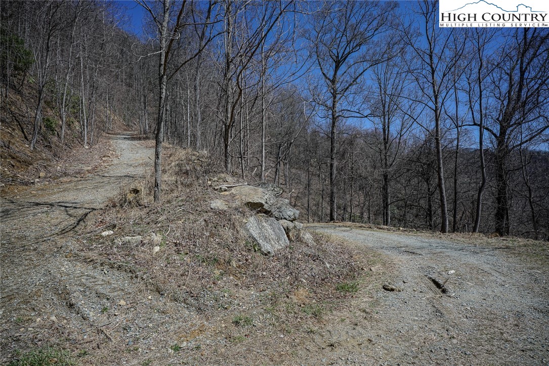 Blackberry Ridge Drive Boone, NC 28607 - Photo 11 of 44 Gallery Image 11