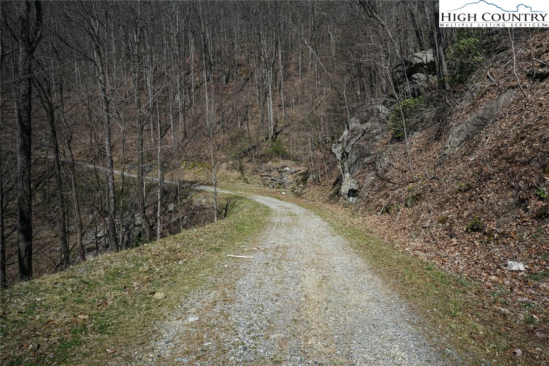 Blackberry Ridge Drive Boone, NC 28607 - Photo 12 of 44 Gallery Image 12