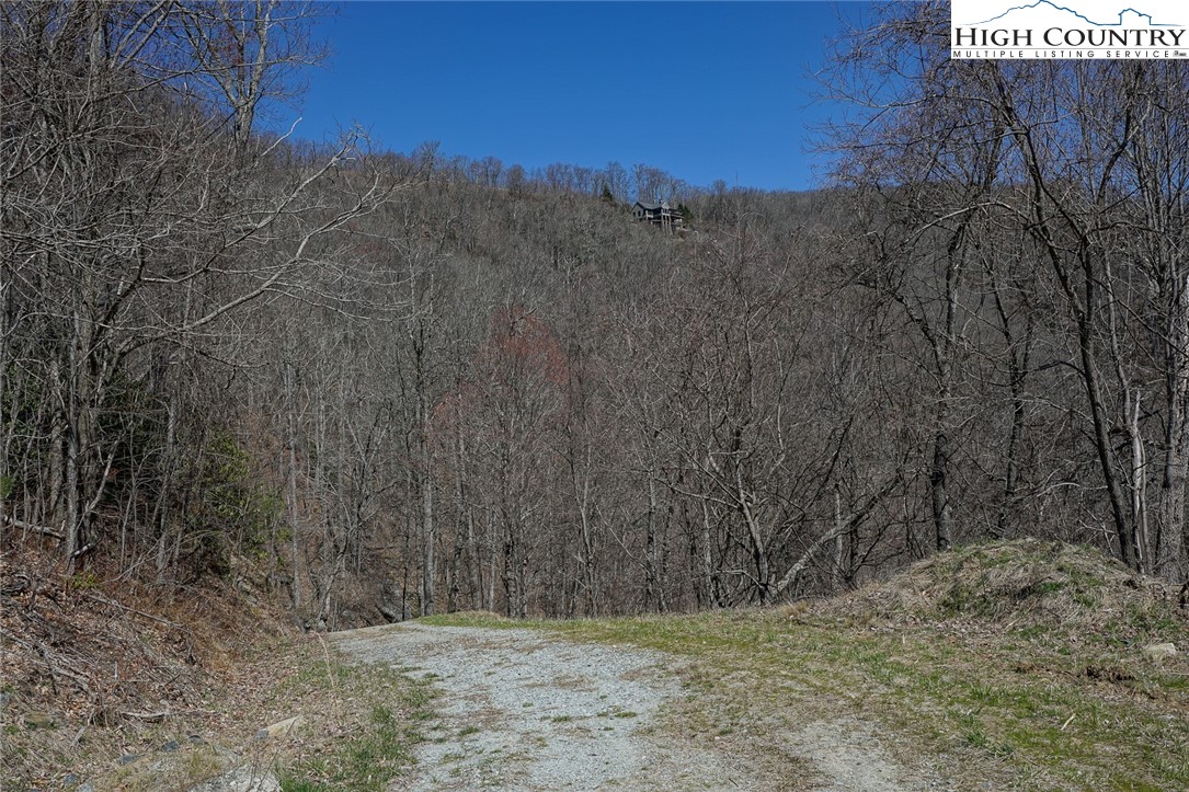 Blackberry Ridge Drive Boone, NC 28607 - Photo 13 of 44 Gallery Image 13
