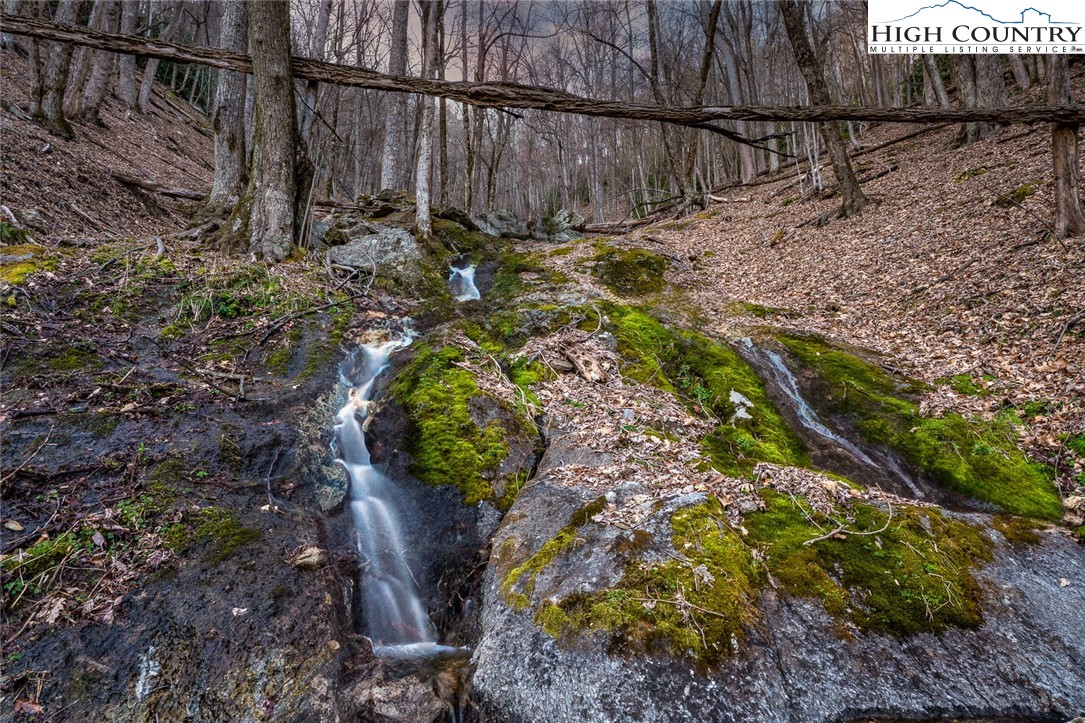 Blackberry Ridge Drive Boone, NC 28607 - Photo 15 of 44 Gallery Image 15