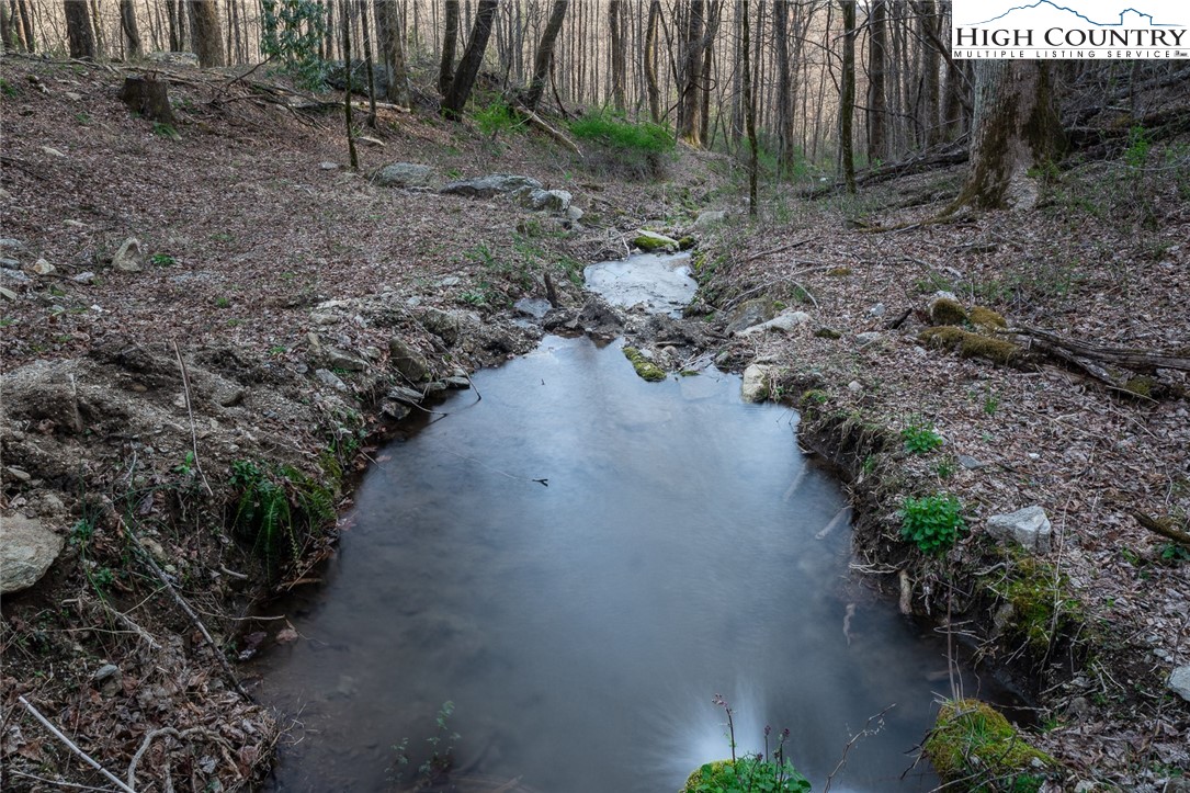 Blackberry Ridge Drive Boone, NC 28607 - Photo 17 of 44 Gallery Image 17