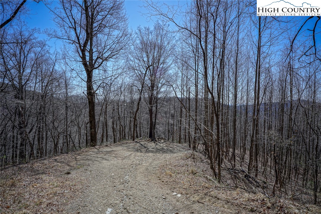 Blackberry Ridge Drive Boone, NC 28607 - Photo 18 of 44 Gallery Image 18