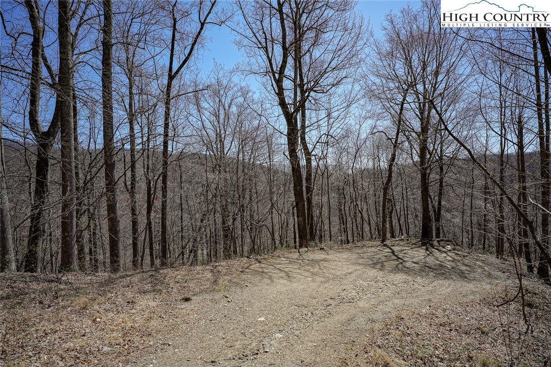Blackberry Ridge Drive Boone, NC 28607 - Photo 19 of 44 Gallery Image 19