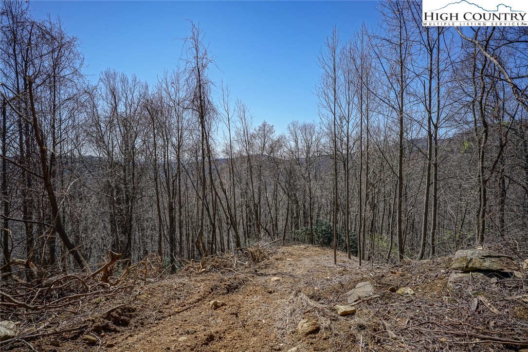 Blackberry Ridge Drive Boone, NC 28607 - Photo 20 of 44 Gallery Image 20
