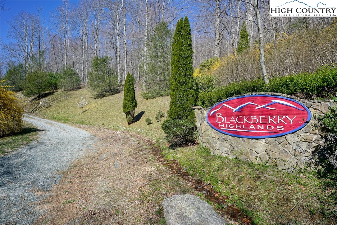 Blackberry Ridge Drive Boone, NC 28607 - Photo 2 of 44 Gallery Image 2