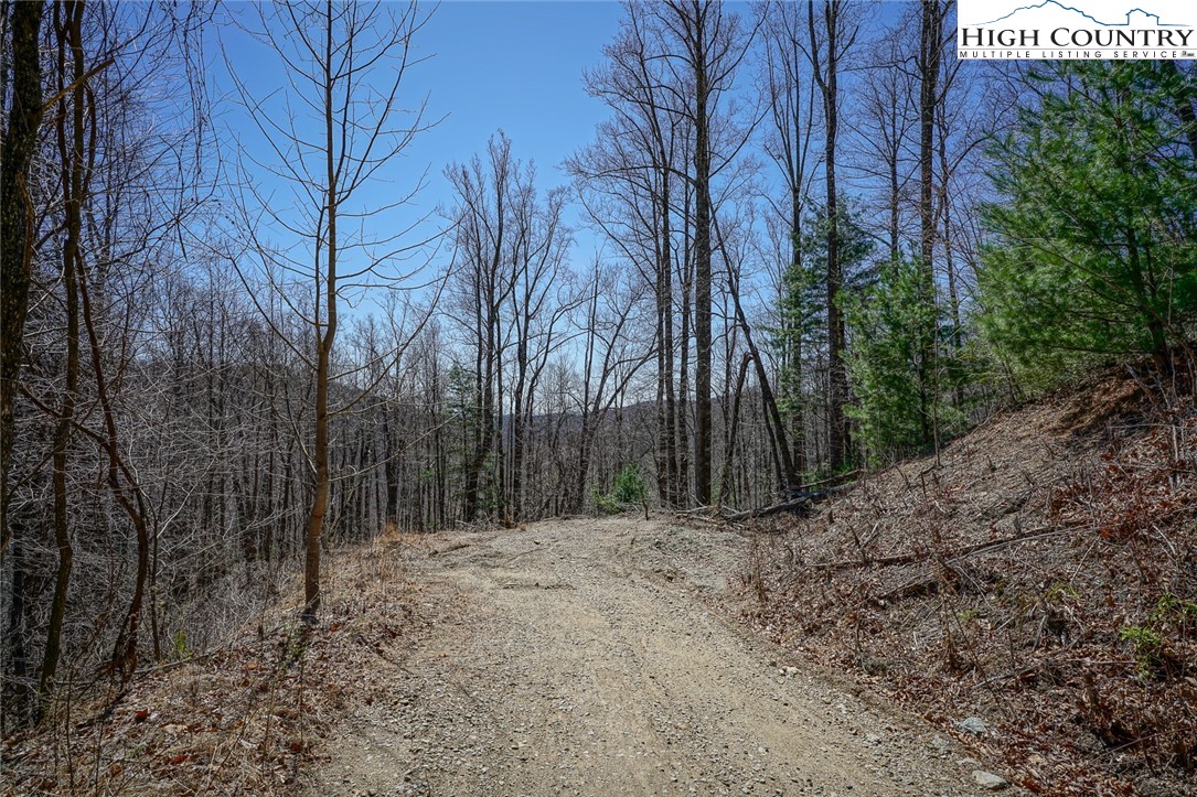 Blackberry Ridge Drive Boone, NC 28607 - Photo 21 of 44 Gallery Image 21