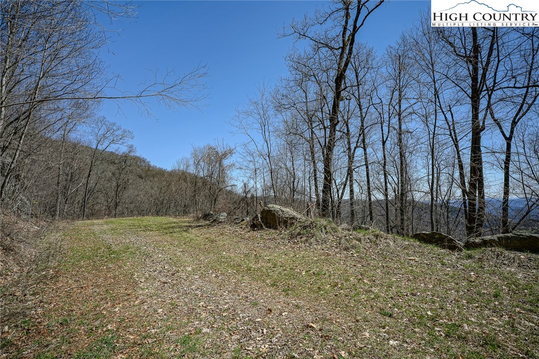 Blackberry Ridge Drive Boone, NC 28607 - Photo 22 of 44 Gallery Image 22