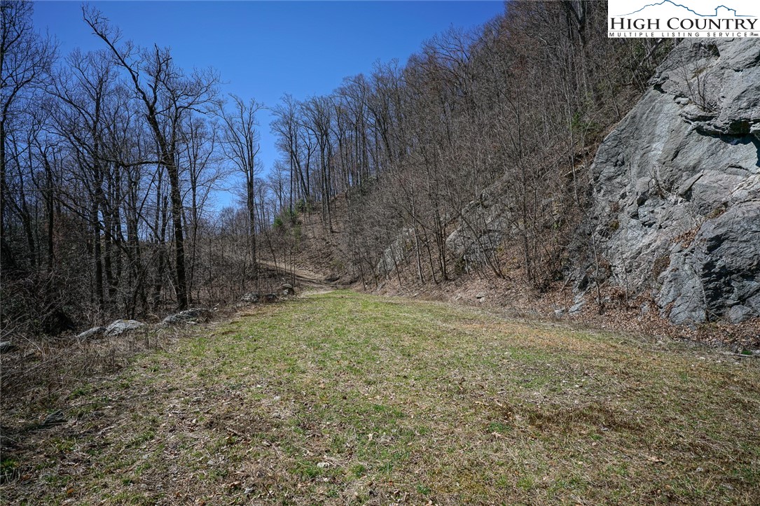 Blackberry Ridge Drive Boone, NC 28607 - Photo 23 of 44 Gallery Image 23