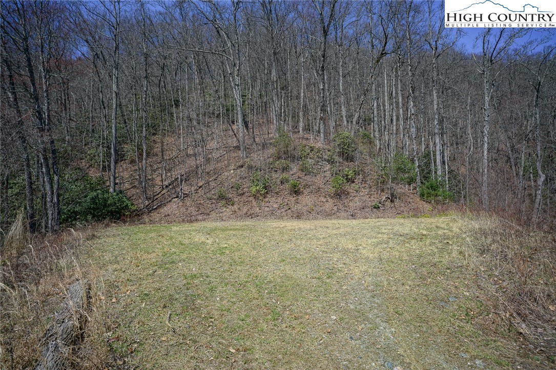 Blackberry Ridge Drive Boone, NC 28607 - Photo 24 of 44 Gallery Image 24