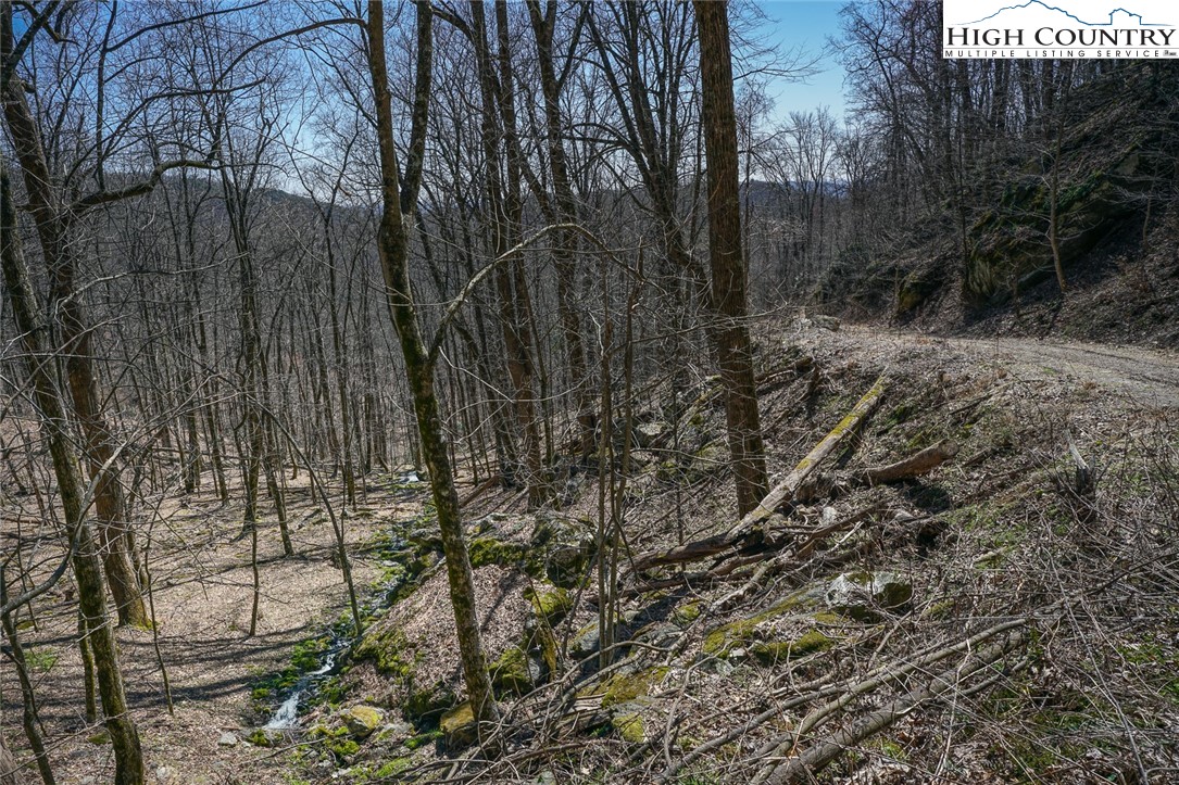 Blackberry Ridge Drive Boone, NC 28607 - Photo 26 of 44 Gallery Image 26