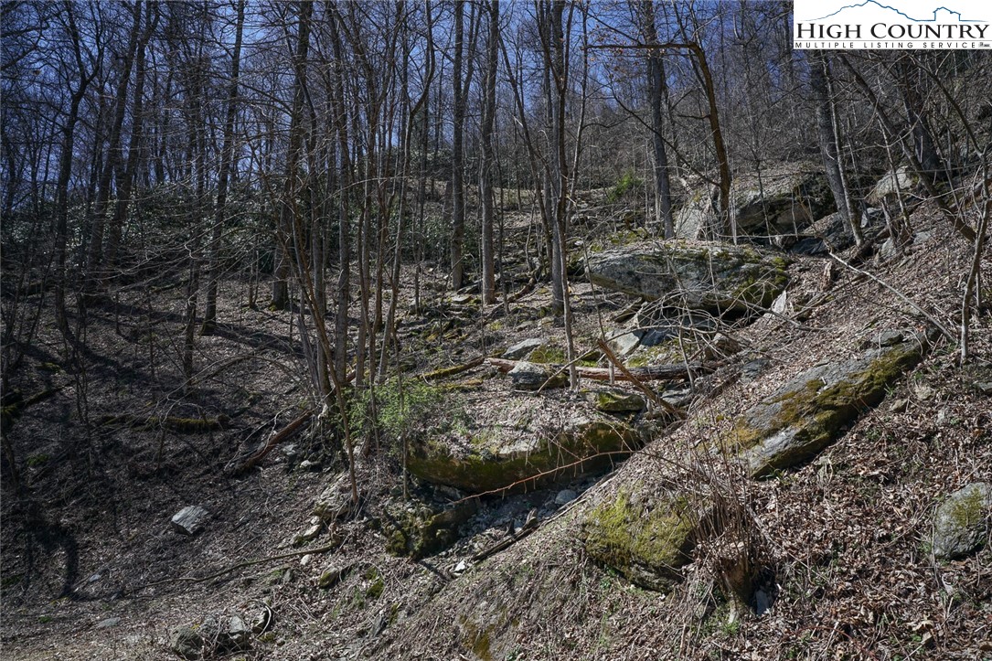 Blackberry Ridge Drive Boone, NC 28607 - Photo 27 of 44 Gallery Image 27