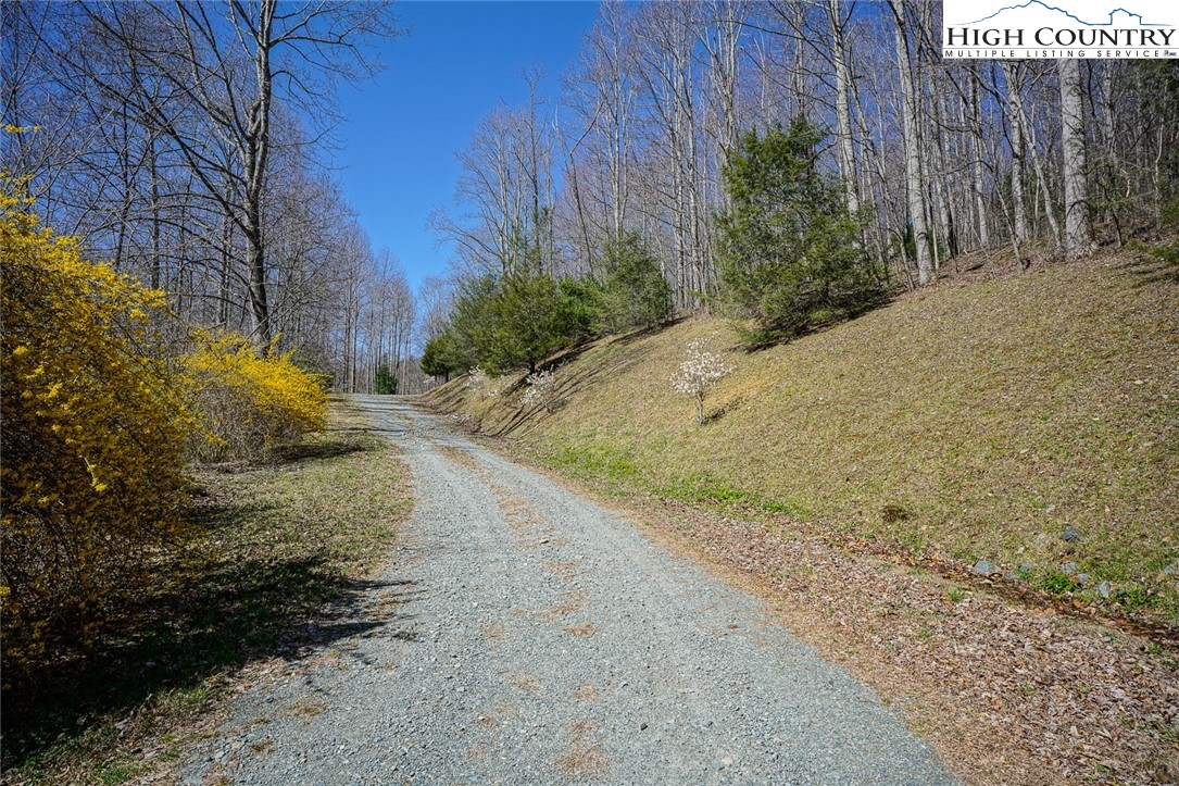 Blackberry Ridge Drive Boone, NC 28607 - Photo 3 of 44 Gallery Image 3
