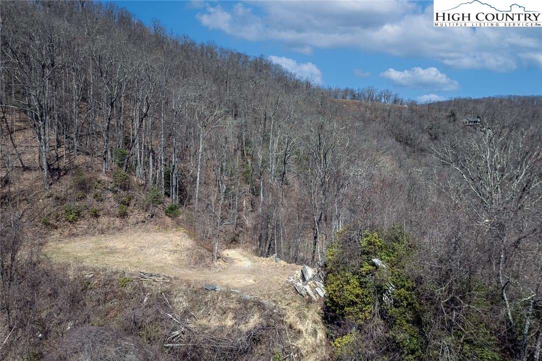 Blackberry Ridge Drive Boone, NC 28607 - Photo 31 of 44 Gallery Image 31