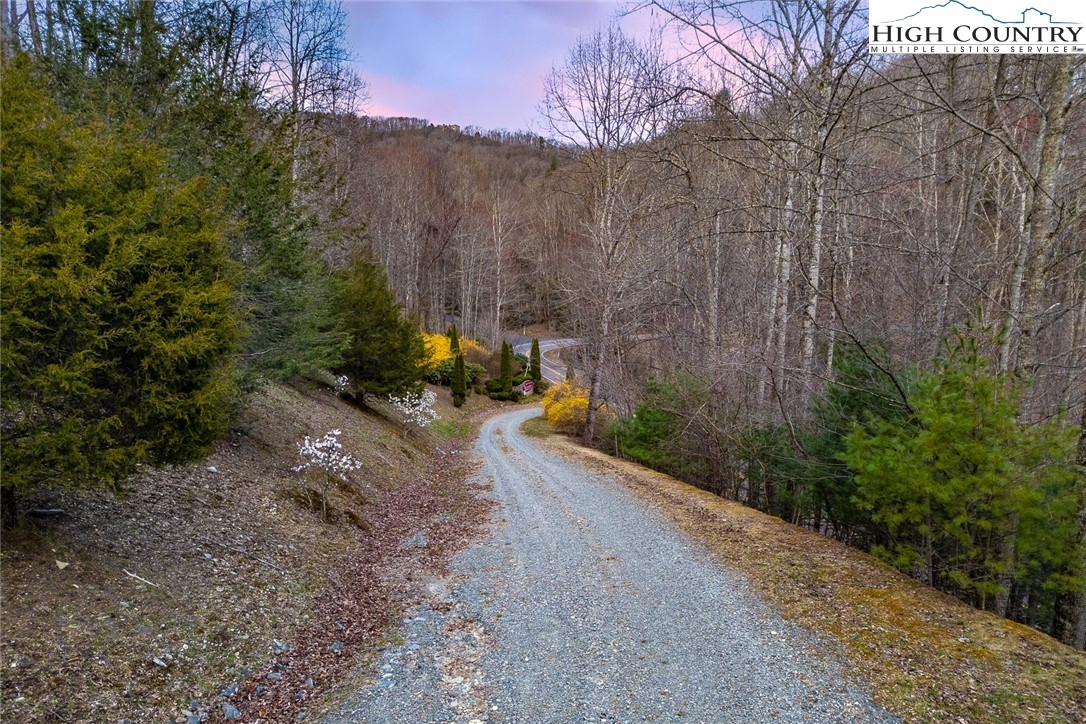 Blackberry Ridge Drive Boone, NC 28607 - Photo 39 of 44 Gallery Image 39