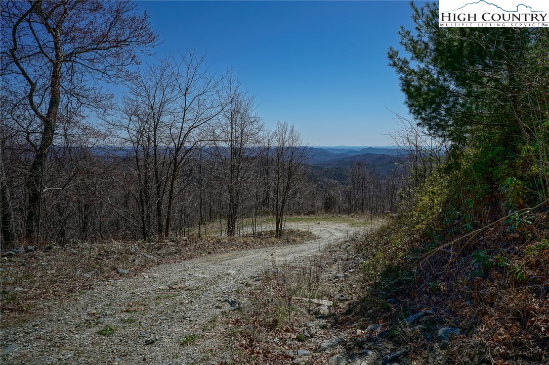 Blackberry Ridge Drive Boone, NC 28607 - Photo 4 of 44 Gallery Image 4