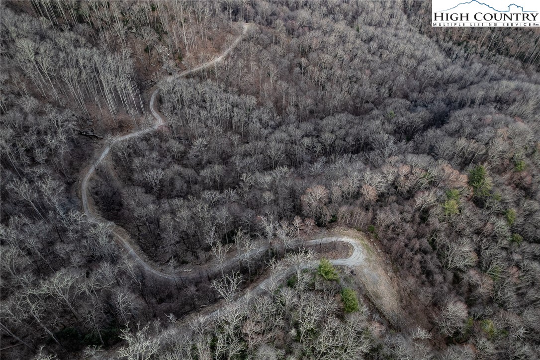 Blackberry Ridge Drive Boone, NC 28607 - Photo 43 of 44 Gallery Image 43